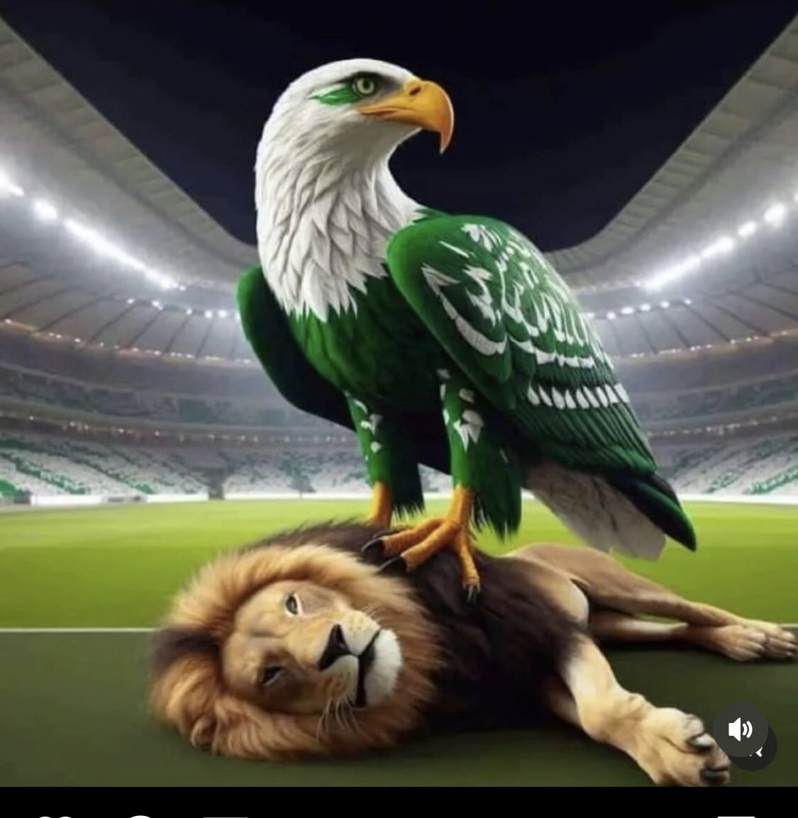 sundayRevival2's tweet photo. Naija 🇳🇬🇳🇬🇳🇬🇳🇬🇳🇬🇳🇬🇳🇬🇳🇬@NGSuperEagles 
Finals❤️❤️ https://t.co/Wbx9KFXRqs