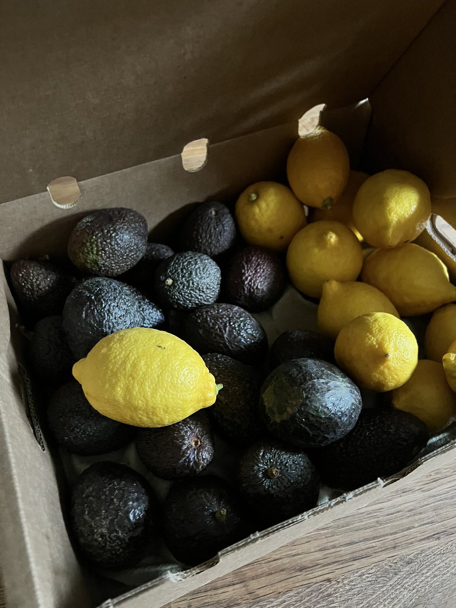 🦊 AOT 🐝 tweet media