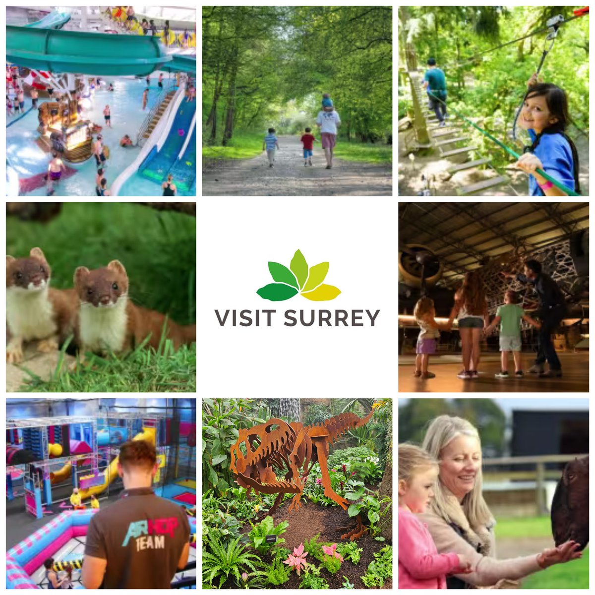 School is almost out and we've rounded up some of the best places for families to get out and about in Surrey this half-term - from swinging through the trees to dry-slope skiing and paintballing. Find half-term inspiration here: visitsurrey.com/whats-on/half-… ✨️