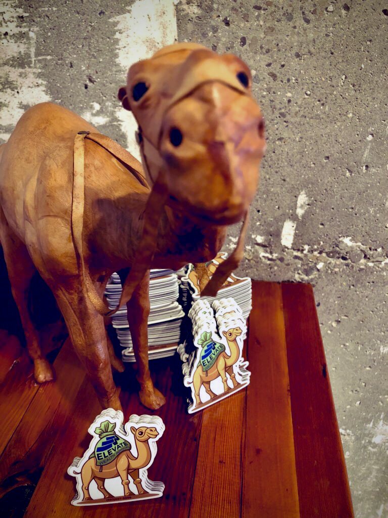 Elevate615's tweet photo. Happy humpday! Niles is loving our magnets. 😎
#happyhumpday #oregoncity https://t.co/qNJYb3J4XO