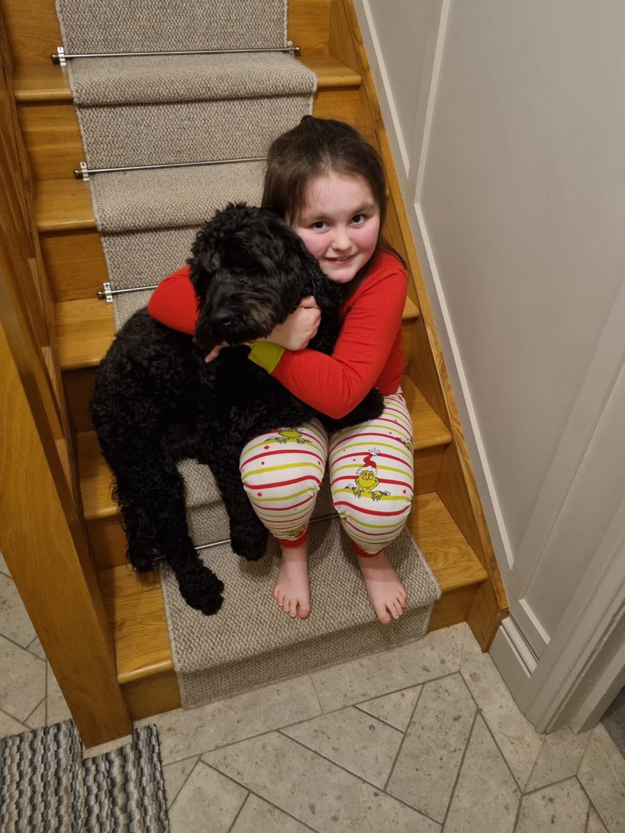 ashleemid15's tweet photo. @hazel_yr3 hi Mrs Hollingsworth Livia has been asking me to send photos of our dog Arlo as a baby to now 🥰 https://t.co/Rw7miJvbRy