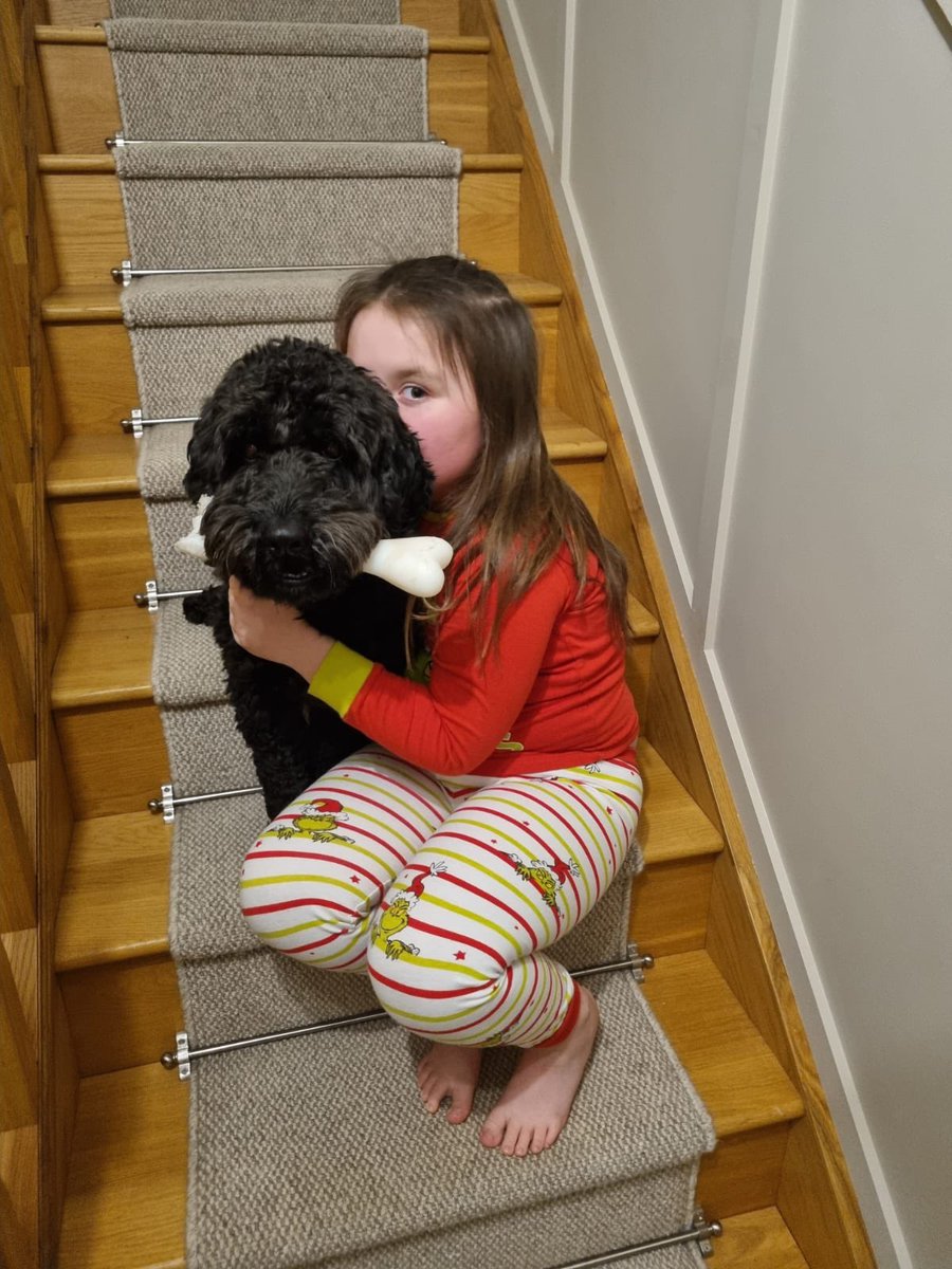 ashleemid15's tweet photo. @hazel_yr3 hi Mrs Hollingsworth Livia has been asking me to send photos of our dog Arlo as a baby to now 🥰 https://t.co/Rw7miJvbRy