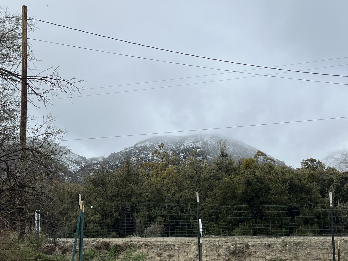 PhotosByChrys's tweet photo. @NWSSanDiego Iron Springs Mtn in Anza, Ca this morning https://t.co/FSsD6SrFsn