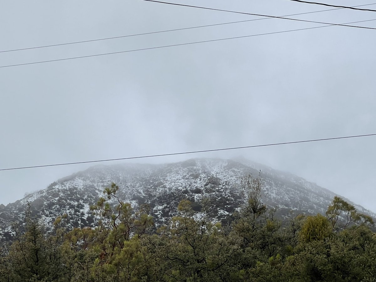 PhotosByChrys's tweet photo. @NWSSanDiego Iron Springs Mtn in Anza, Ca this morning https://t.co/FSsD6SrFsn
