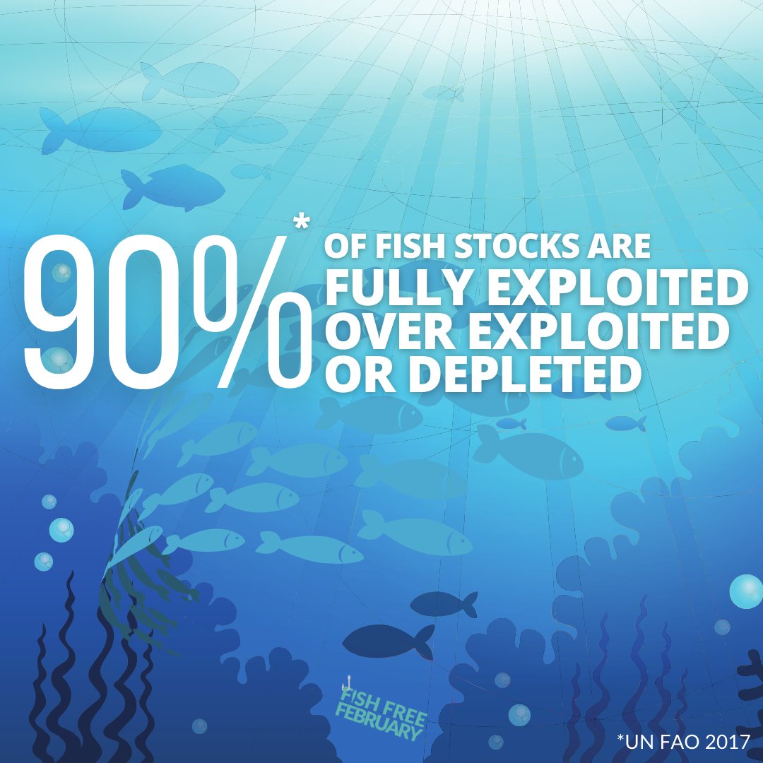 beleafvegan's tweet image. 🌊 Take the #FishFreeFebruary pledge to limit seafood consumption for the month and help preserve our oceans at fishfreefebruary.com/pledge !