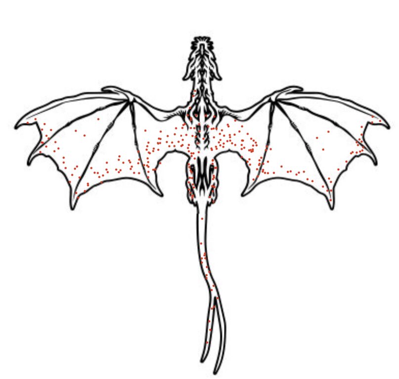 Ive always loved the story behind this— Basically during the psychic wars the kings statisticians collated data on where returning dragon riders had been struck by enemy fire. This represented where dragons would typically get hit. By armoring those spots many lives were saved