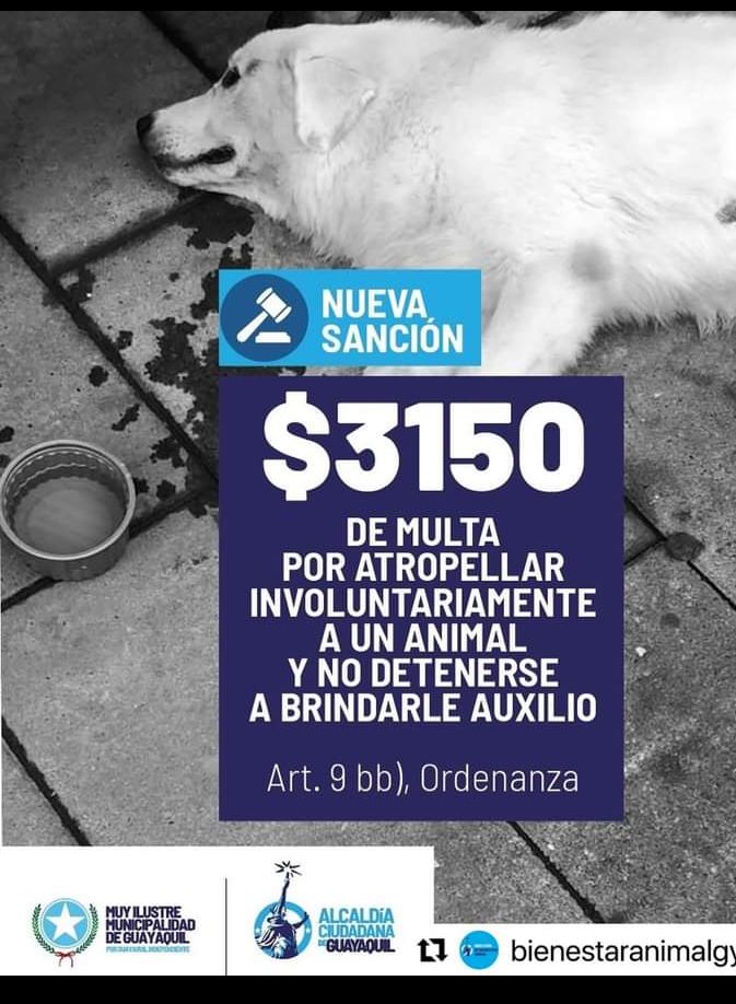 Bloque Defensores An tweet media