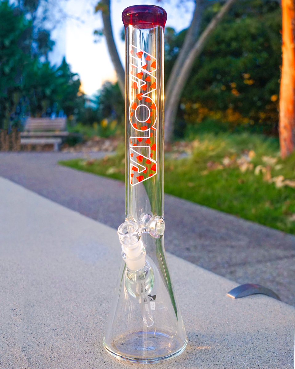 MOTA Glass tweet media