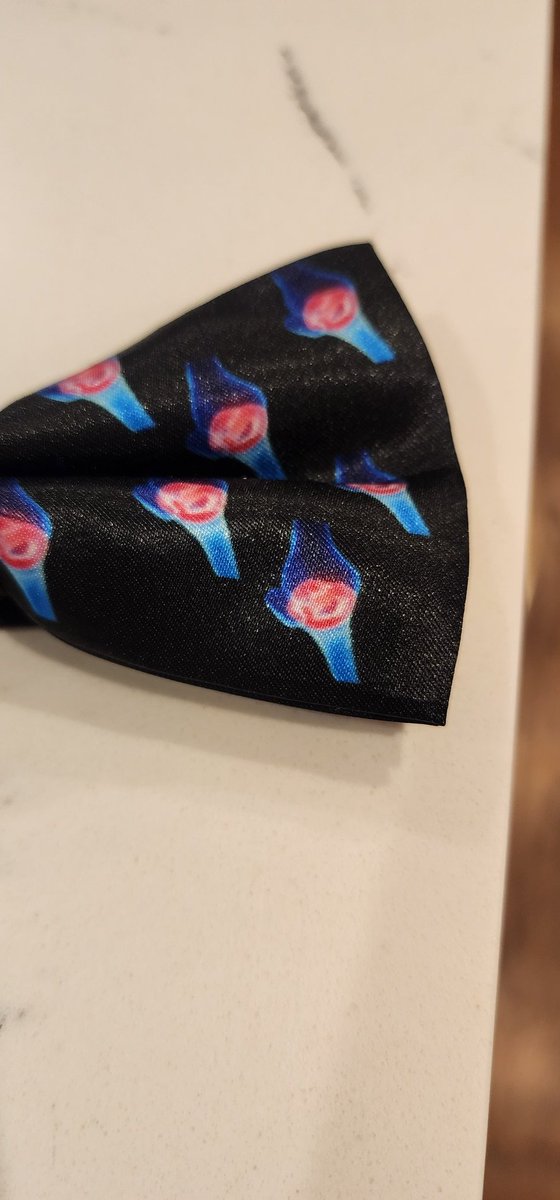 Truly honored by the recognition from the @OrsMeniscus section of @ORSsociety for service to the section. Can't wait to sport my custom bow-tie, a stylish nod to our shared passion for orthopaedic research! #ORS #meniscus4life