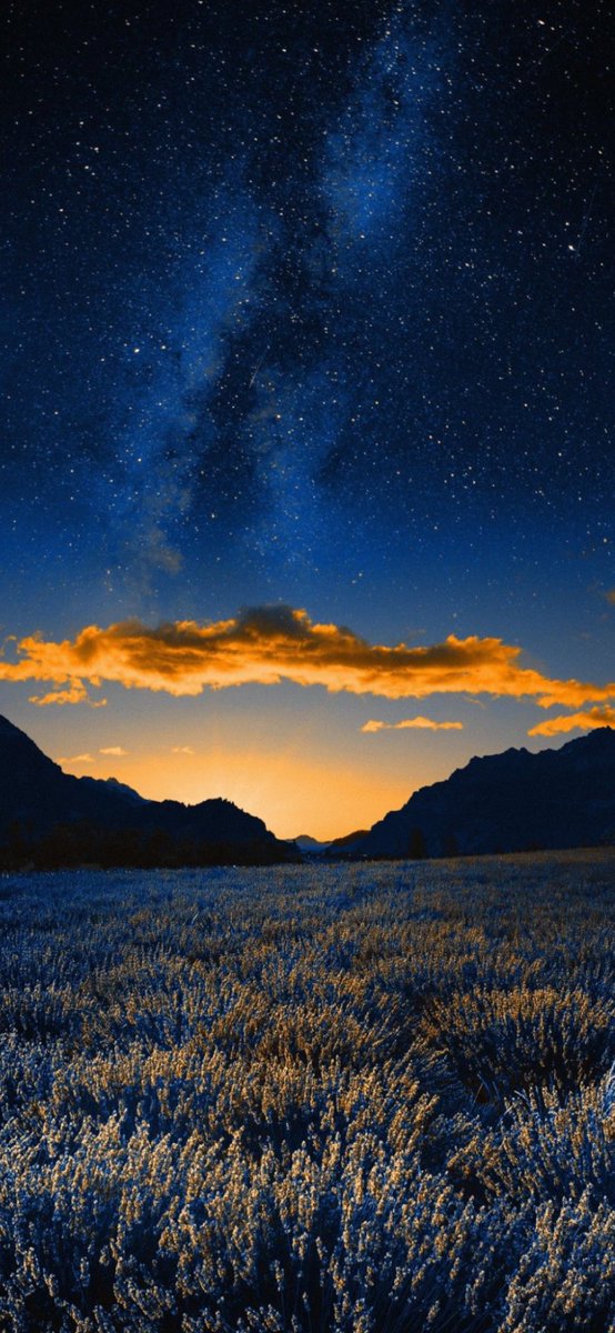 John van de Velde (@john_velde) on Twitter photo 