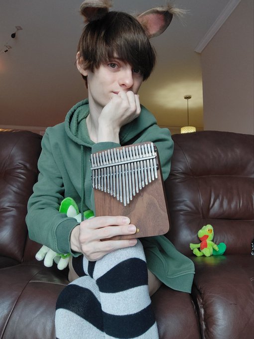 I got myself a new instrument :3 ~  It's a kalimba~ the main instrument in C418 - Sweden 💚  (Also Nyahoja