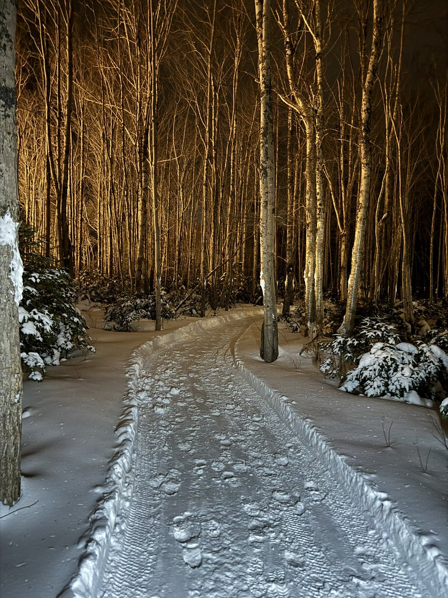 Thanks to a great partnership  of <a href="/GoWestPEI/">Western Region Sport & Recreation Council</a> and <a href="/millriverpei/">Mill River Resort</a> we get to enjoy this beautiful walking trail  at Mill River.  Evenings are the best! 😍