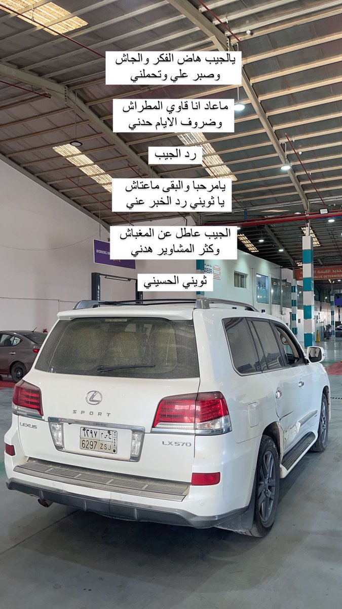 #الجيب