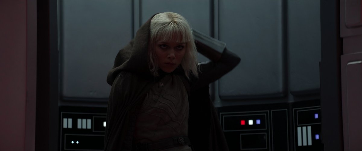 New Republic Updates 🕊️ tweet media