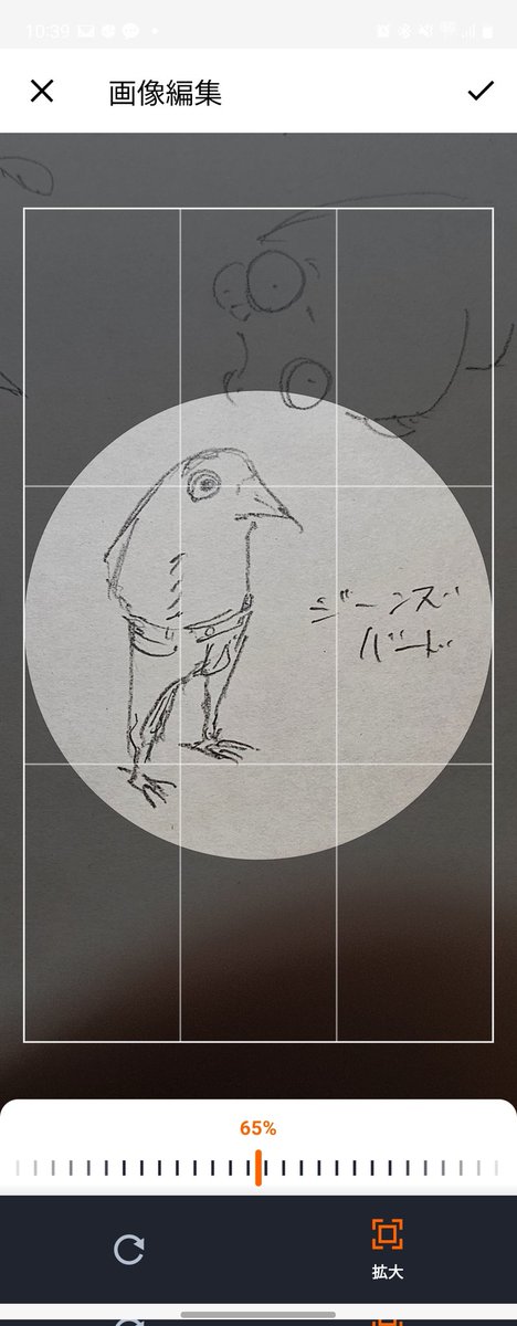 サムネこれでいいか
デニムバードか悩んだけど 