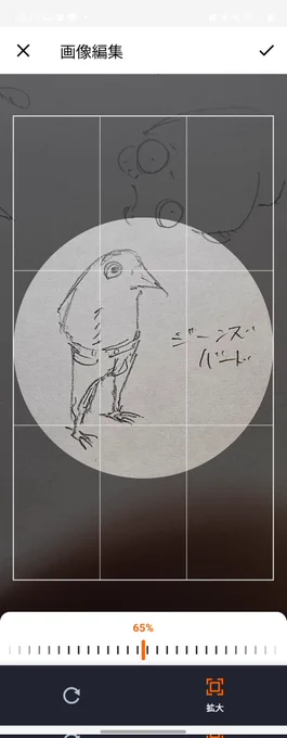サムネこれでいいか
デニムバードか悩んだけど 