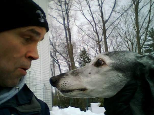 lusstylucy's tweet photo. Booter the Ubergreyhound: I may be neutered, but I still have bigger balls than Mike Johnson. https://t.co/slwjxCoBrM