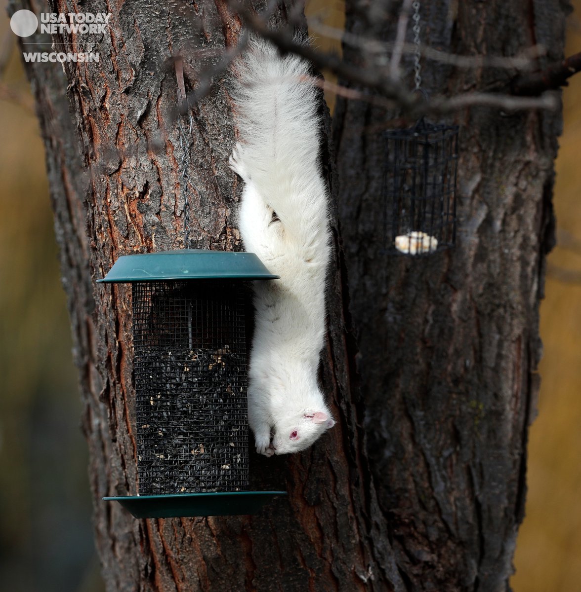 Sarah Kloepping tweet media