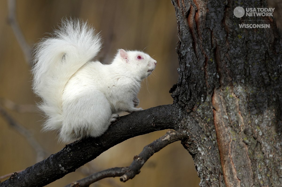 Sarah Kloepping tweet media