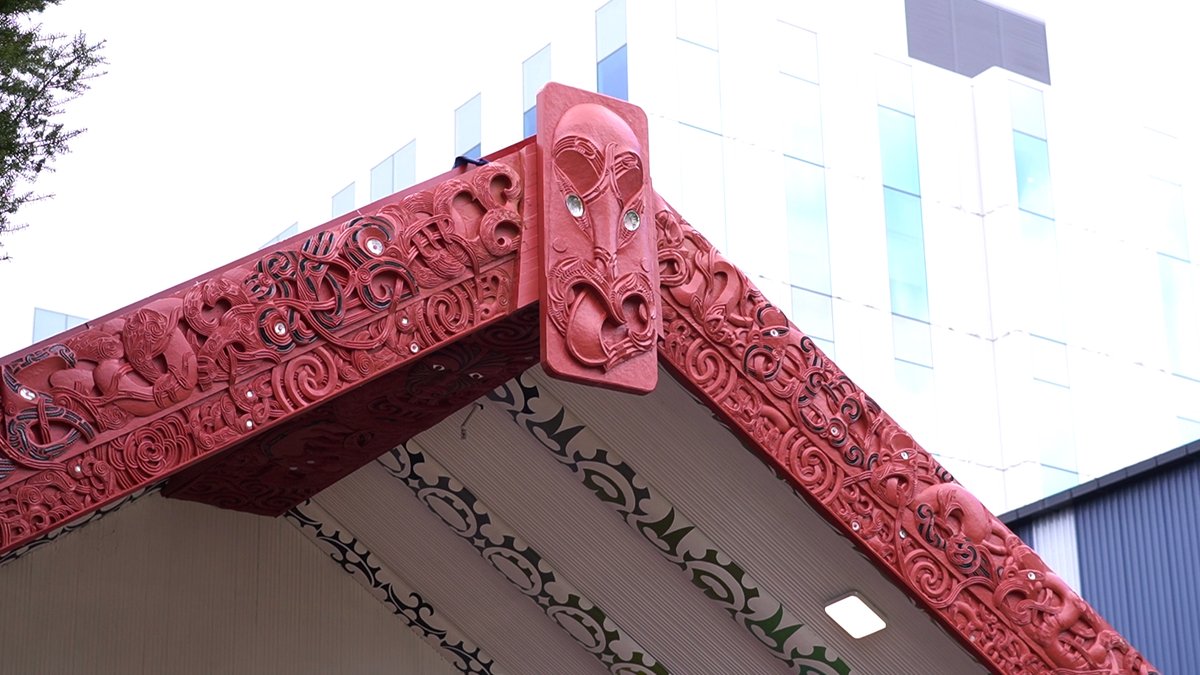 New carvings have replaced the old ones at Waipapa Marae, which were damaged by weather over the years. Arekatera Maihi, tohunga whakairo, explains the importance of the carvings, the tikanga to bury the old whakairo, & how the new designs were recreated. bit.ly/3HPkB5k