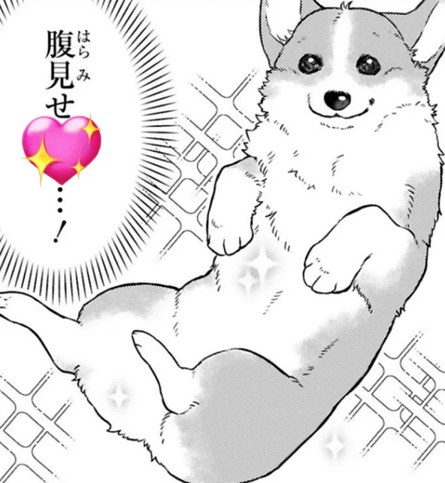 腹見せ💖

#殿と犬 