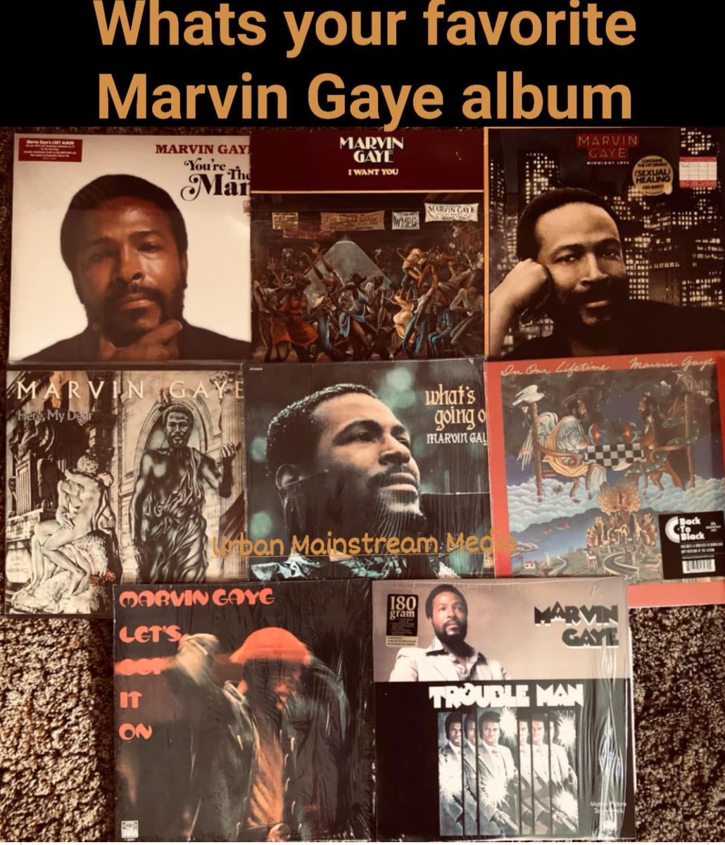 Ladyofyourlife tweet media