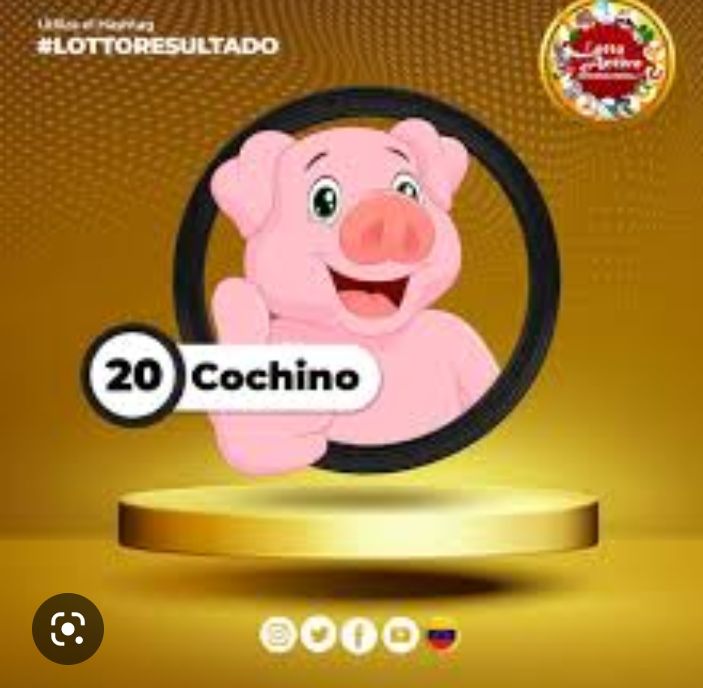 Radarhipico's tweet image. #Jueves #Animalitos #RegalosAbiertos
@marrpacheco