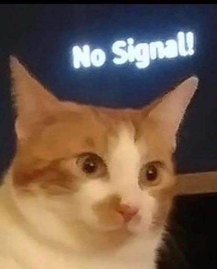 PunchingCat's tweet photo. https://t.co/WnrJfNVjjK