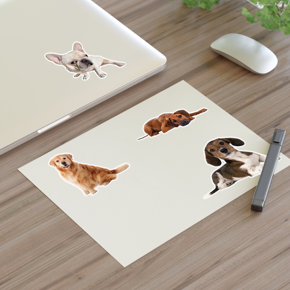 KickstartINshop's tweet image. Add some pawsitivity to your life with our adorable dog stickers! Perfect for planners, journals, and more. 🐾 Shop now for a dose of cuteness! #dogstickers #planneraddict #doglovers #dog
#pets
#Stickers
kickstartin.etsy.com/listing/165691…