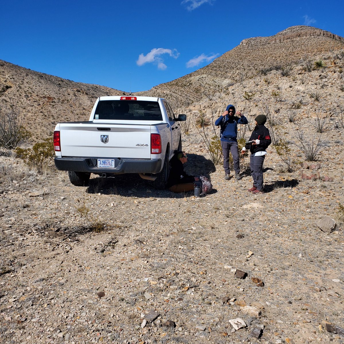 kirromig's tweet photo. Rare population of Escobaria duncanii with the fabulous blm/usfs botanists #NMRarePlants #cactus #Botany https://t.co/61lMzzEmSE