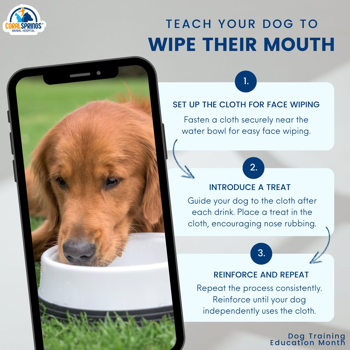 CSAnimalHosp's tweet image. Tired of water dribbling all over the house from your dog? Teach your pup the ultimate clean-up trick! 🌟 No more wet floors, just adorable manners! #DogLifeHacks