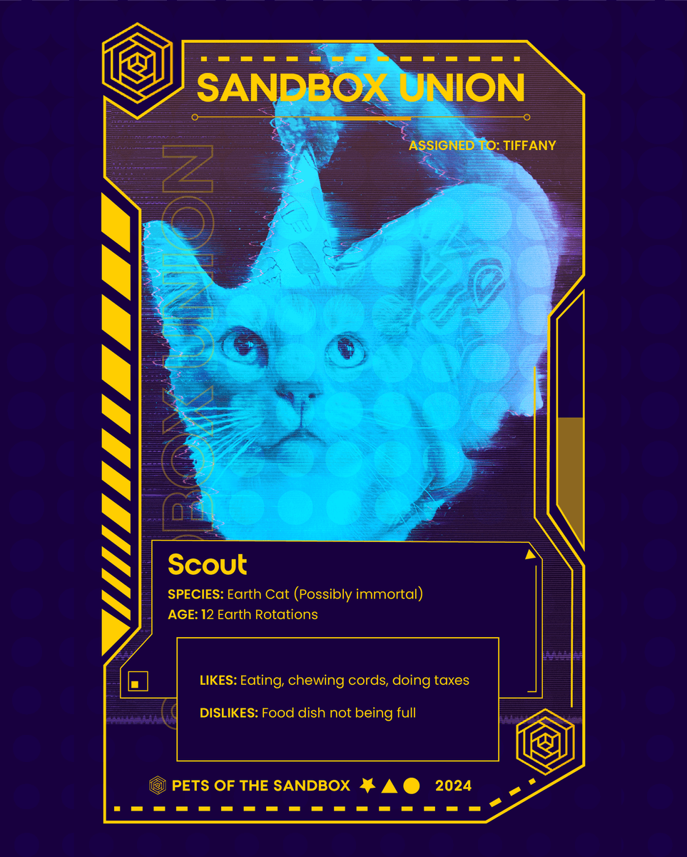 SandBoxUnion's tweet photo. Pets of the Sandbox!  Meet Scout!
Stay tuned for more pets!
#pets #cat #scifi #SBU  #cyberpunk #spotlight https://t.co/xl30ggHJ7v