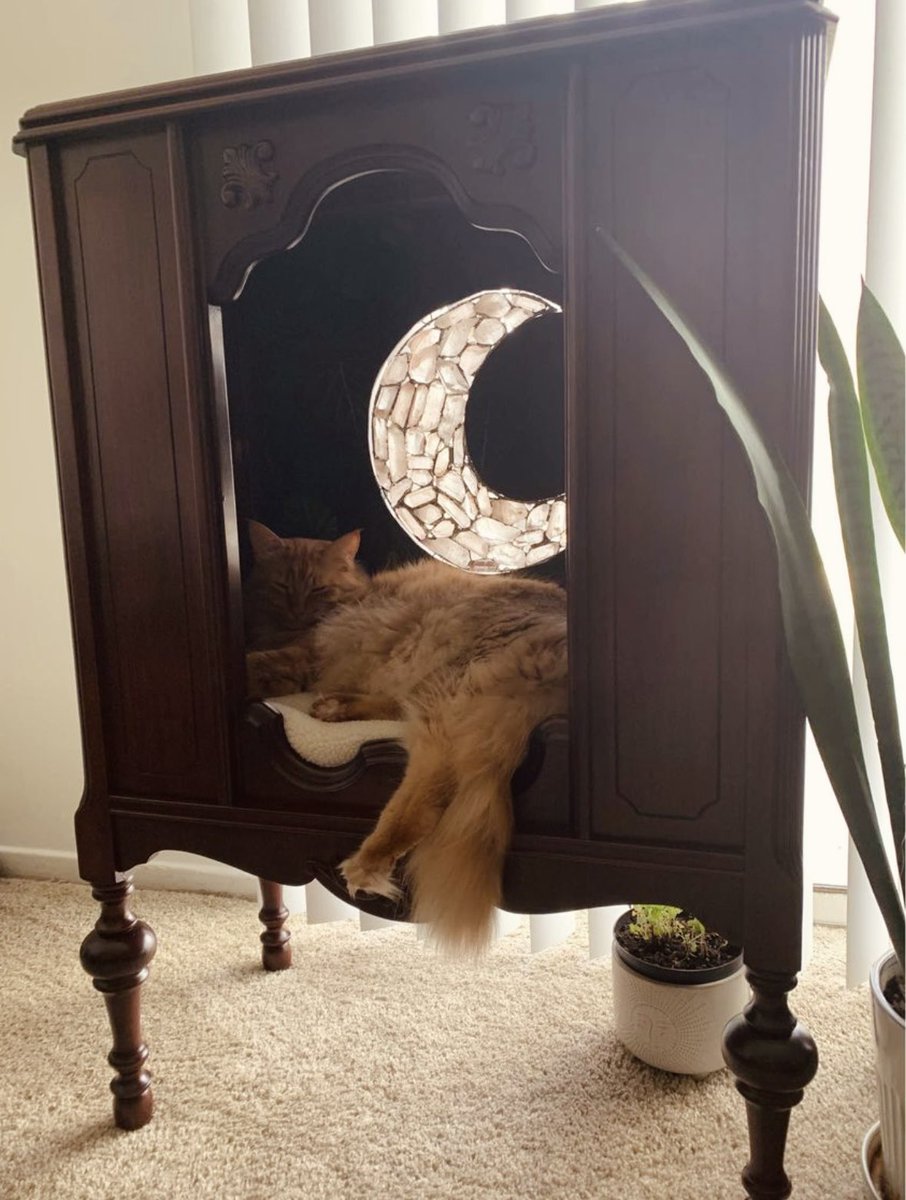 JessicaKnapik's tweet image. Saw the most lovely homemade cat bed cubby thing on fb marketplace, I hope the best person buys this 🥹