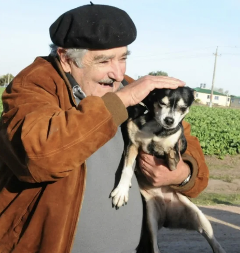 [9/10] A pesar de nuestras diferencias políticas, fue revelador conocer otros puntos de vista, especialmente de alguien que ha vivido tanto. Lo que más recuerdo de la conversación fue el cariño que depositó en su perra Manuela, quien había fallecido poco antes de nuestra visita.