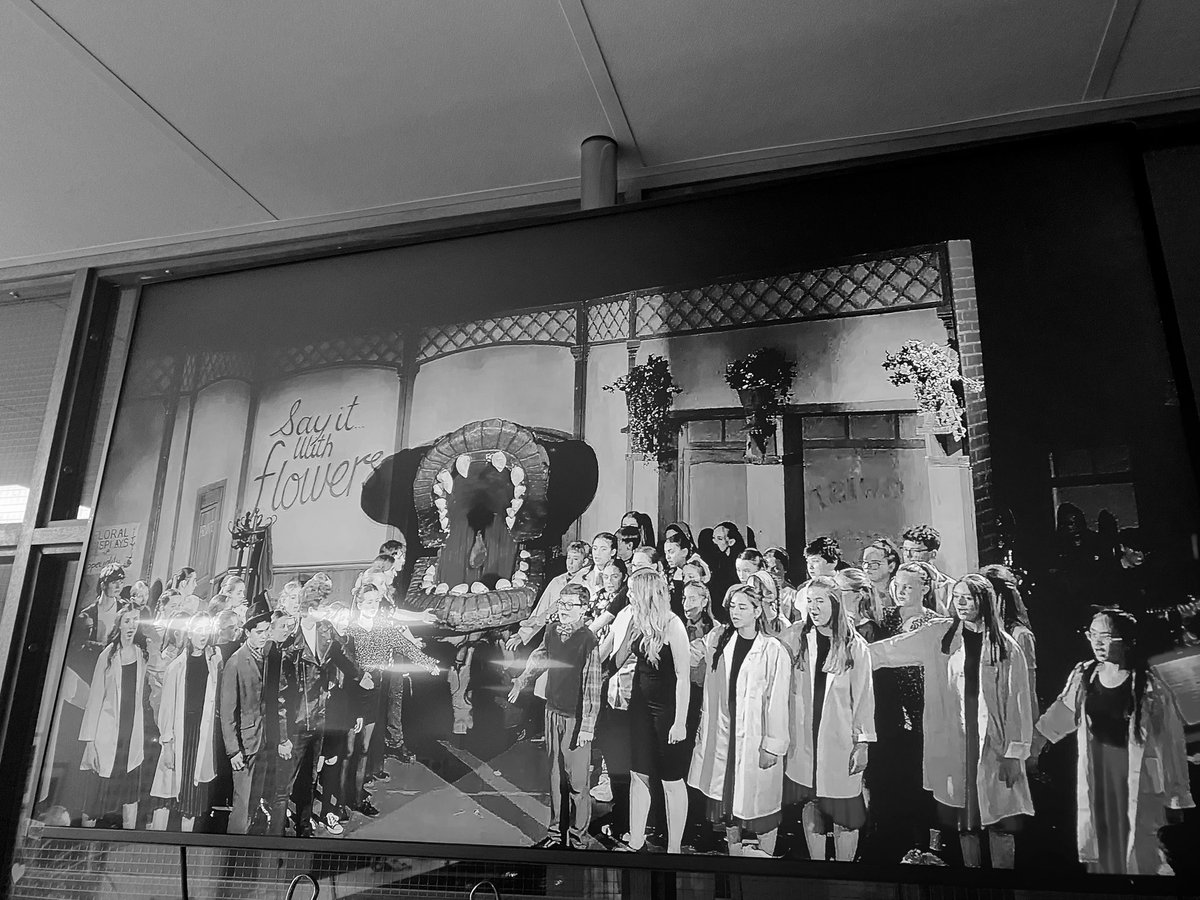 WE ARE SO PROUD OF OUR WONDERFUL CAST. Round two tomorrow. 👀💚