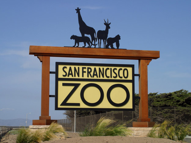 Katie Cronin, PhD (@katieacronin) on Twitter photo <a href="/SFZoo/">San Francisco Zoo & Gardens</a> is hiring an Asst Director of Training & Behavioral Husbandry!
BS degree, 5 yrs experience, salary posted.
#animalbehavior #animaltraining #animalwelfare #jobs #zoo
tinyurl.com/mwnsbdkv <a href="/SFZoo/">San Francisco Zoo & Gardens</a> is hiring an Asst Director of Training & Behavioral Husbandry!
BS degree, 5 yrs experience, salary posted.
#animalbehavior #animaltraining #animalwelfare #jobs #zoo
tinyurl.com/mwnsbdkv