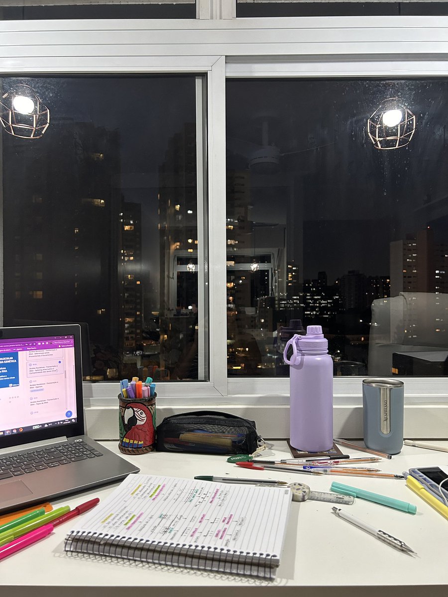 gabstudante's tweet image. estudar a noite é tão goxxtoso 🫶🏽✨