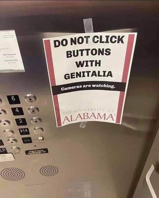 [Image: GFxIwAyXYAAhRwL?format=jpg&name=small]