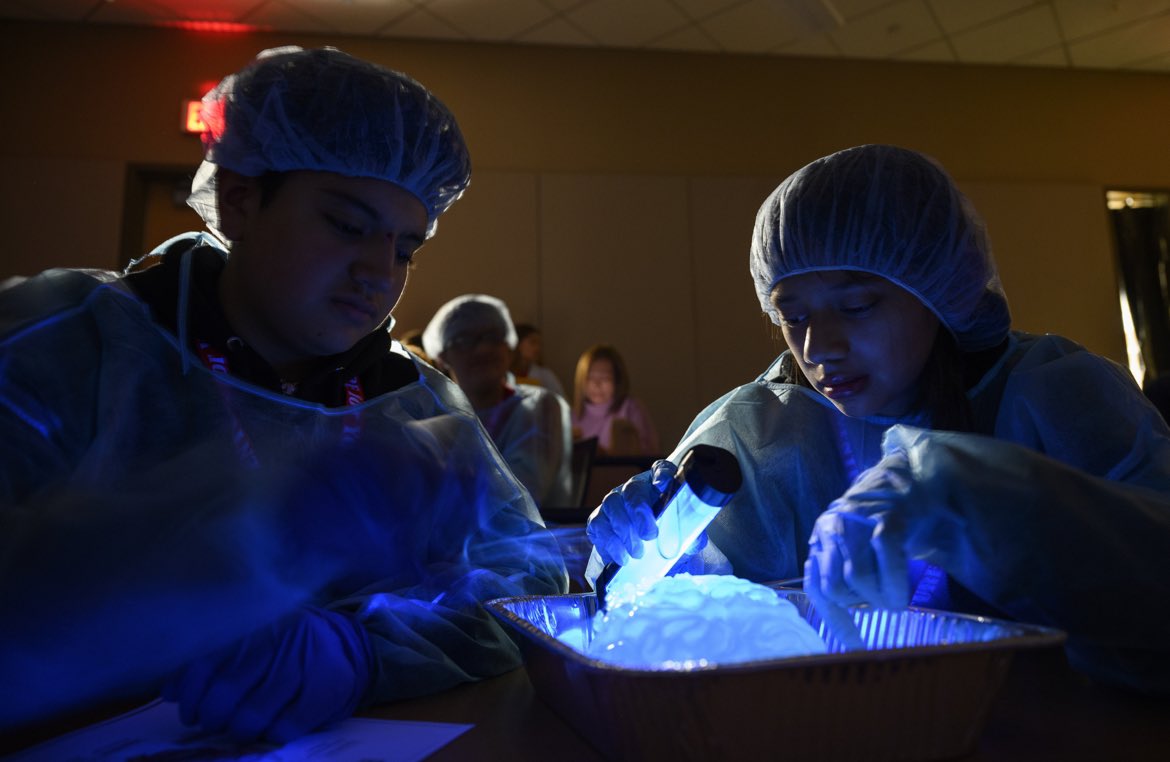 TTUSystem's tweet photo. TTUHSC El Paso hosted the 13th Annual Medventure for Your Future, inviting nearly 700 middle school students to engage in hands-on activities and learn about diverse careers in health science. The TTU System is proud to see health care advocacy for the #borderplex and beyond!🩺⚕️ https://t.co/NVTd8rfzhl