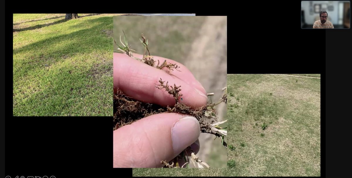 Adam Gore tweet media