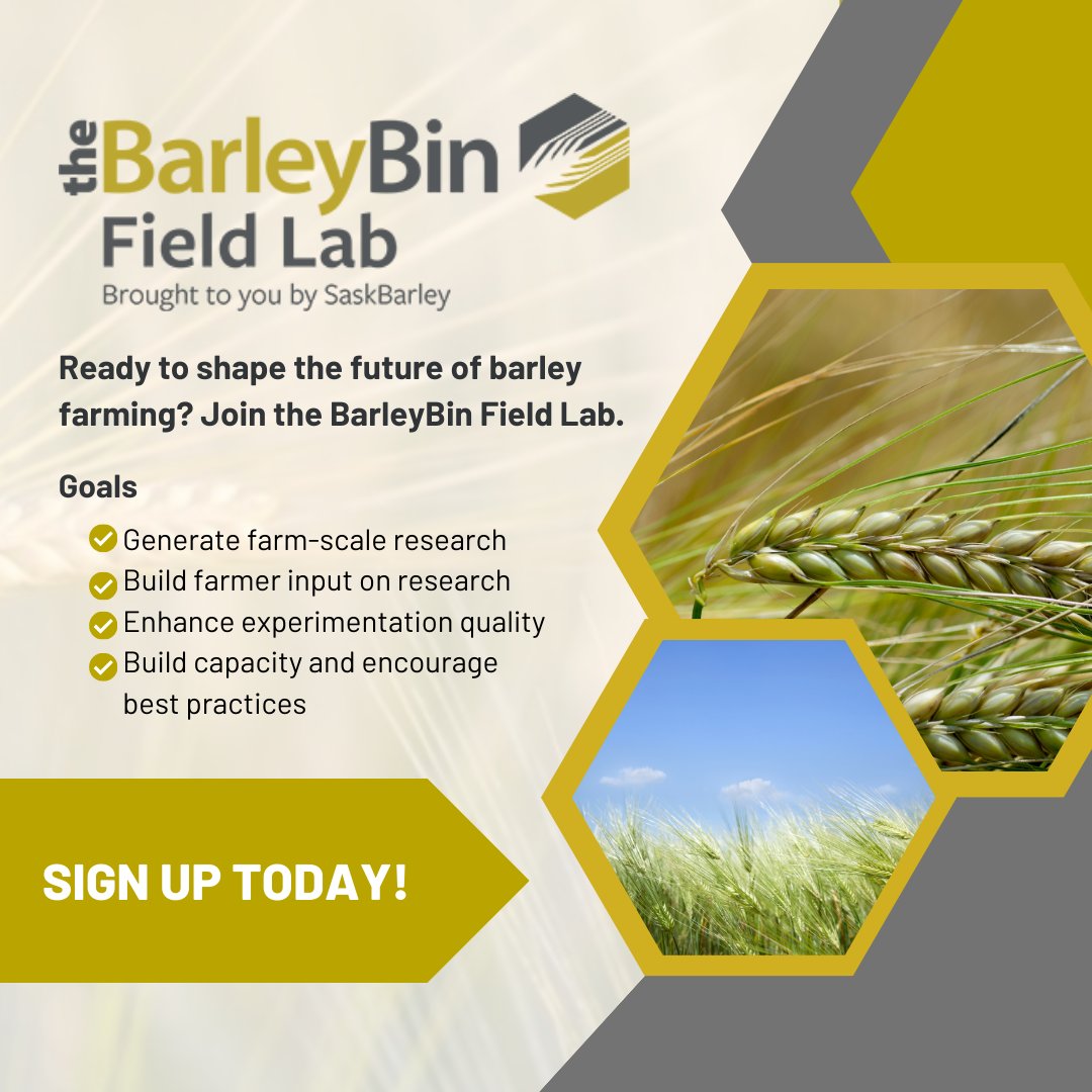 SaskBarley's tweet photo. ⏰ Deadline Alert: BarleyBin Field Lab applications close on Feb 9, 2024. Shape the future of barley farming on a field scale. Sign up today! https://t.co/gW7YJH9GV6

#BarleyBinFieldLab #saskbarley #barleyindustry https://t.co/wQd3sZciWb