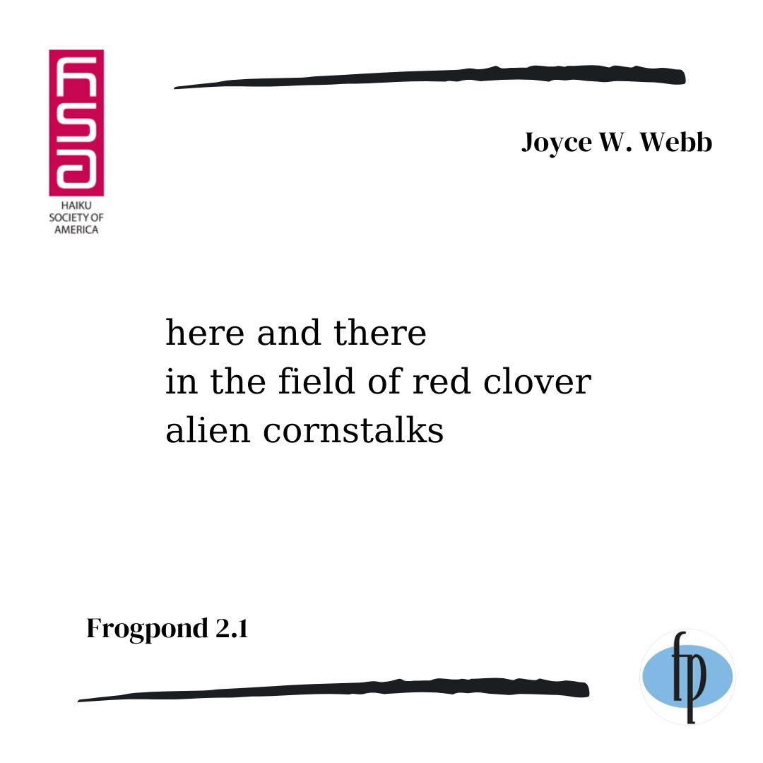 frogpondjournal's tweet photo. Here's a #haiku by Joyce W. Webb from issue 2.1, published in 1979.
Come #read an issue of Frogpond Journal!
Share your #poetry with us.
#frogpond
#redclover
#clover
#cornstalks https://t.co/42aC8LojHO