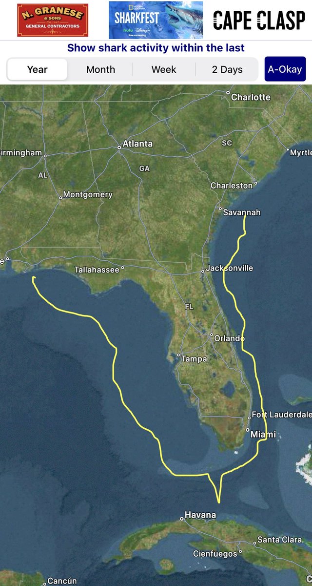 Chip Michalove (@chiphhi) on Twitter photo 14ft Great White “LeeBeth” that we tagged off Hilton Head, SC just arrived in Pensacola, FL today. She’s swam over 1100 miles since Dec.
She’s taken almost the same exact route that 15’ Grace took 3 yrs ago. So cool seeing where they go. <a href="/MegalodonWinton/">Megan Winton</a> <a href="/A_WhiteShark/">Atlantic White Shark Conservancy</a> 14ft Great White “LeeBeth” that we tagged off Hilton Head, SC just arrived in Pensacola, FL today. She’s swam over 1100 miles since Dec.
She’s taken almost the same exact route that 15’ Grace took 3 yrs ago. So cool seeing where they go. <a href="/MegalodonWinton/">Megan Winton</a> <a href="/A_WhiteShark/">Atlantic White Shark Conservancy</a>