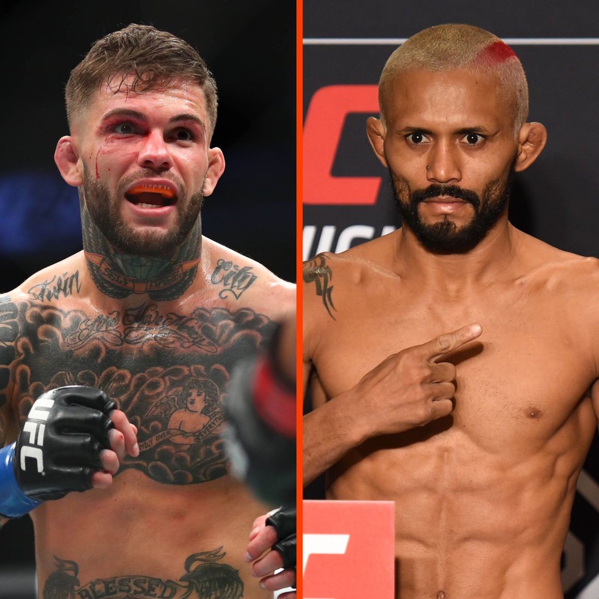 MMA Orbit tweet media