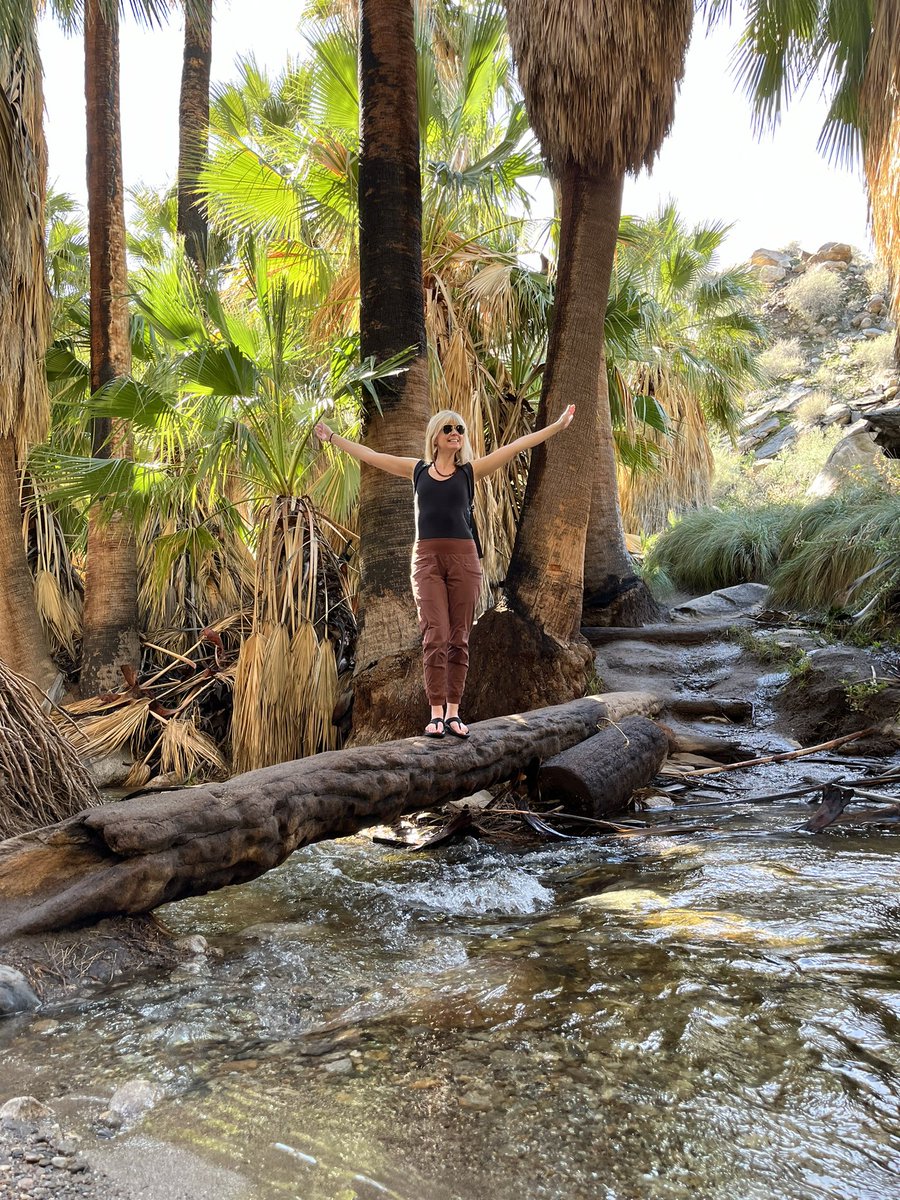 Anne Mills tweet media