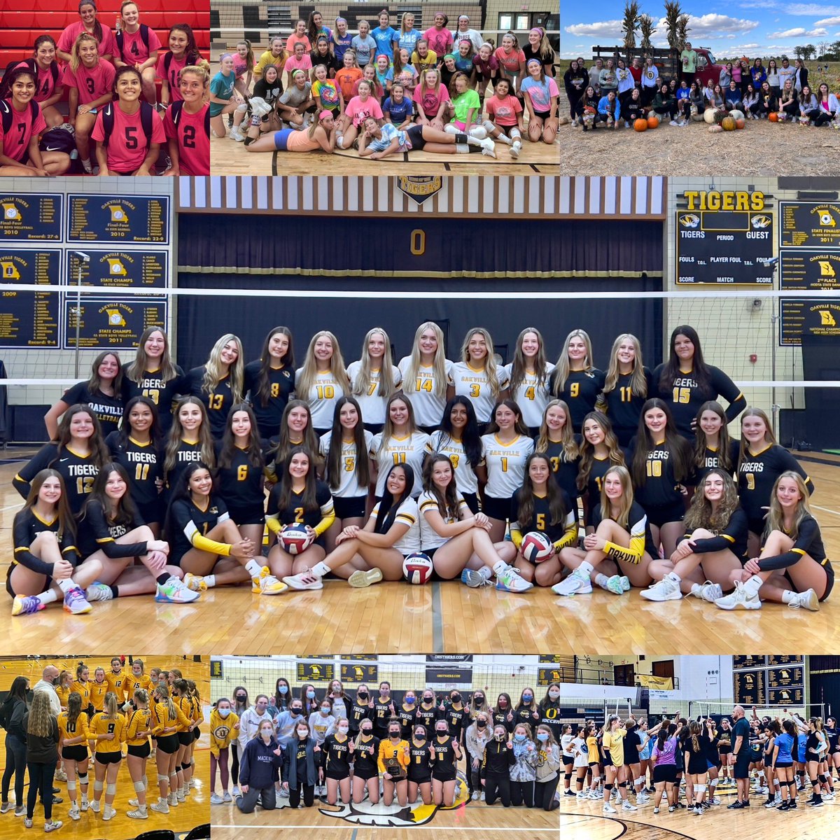 Coach Allen (@oakvillegirlsvb) on Twitter photo Today, I get to reflect back on and celebrate 5 years of awesome people that make up the Oakville VB Program! Thanks to all the athletes, coaches, and staff that make it special!!
Happy National Girls & Women in Sports Day!
<a href="/OHS_Tigers/">Oakville High School</a> <a href="/BCzuppon/">Becky Czuppon, OHS A.D.</a> <a href="/OakvilleBoysVB/">Coach Betz</a> <a href="/MrsMueller4/">Suzy Mueller</a> Today, I get to reflect back on and celebrate 5 years of awesome people that make up the Oakville VB Program! Thanks to all the athletes, coaches, and staff that make it special!!
Happy National Girls & Women in Sports Day!
<a href="/OHS_Tigers/">Oakville High School</a> <a href="/BCzuppon/">Becky Czuppon, OHS A.D.</a> <a href="/OakvilleBoysVB/">Coach Betz</a> <a href="/MrsMueller4/">Suzy Mueller</a>