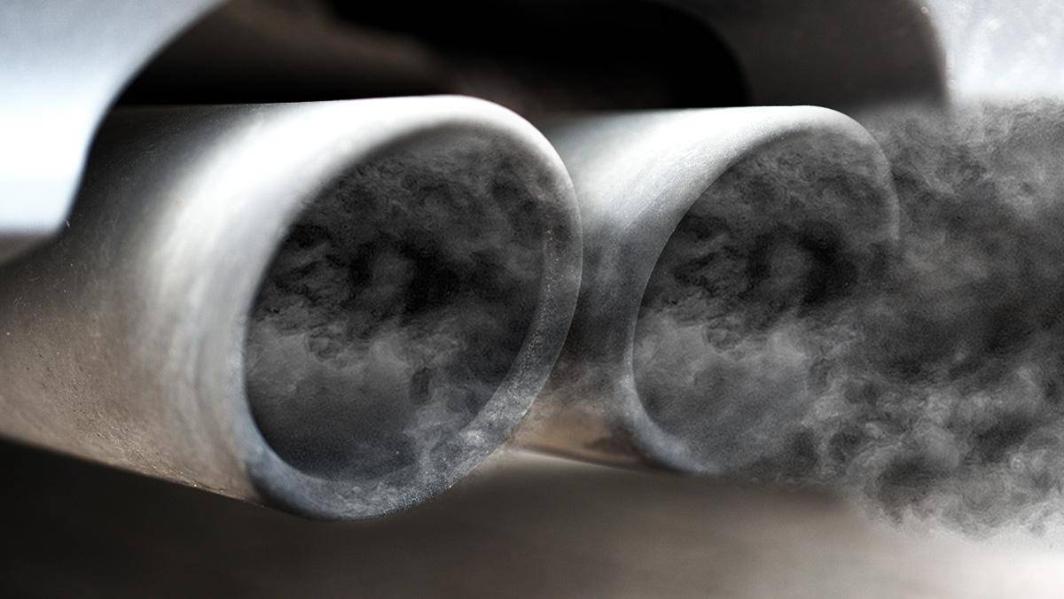 Deleŭko tweet media