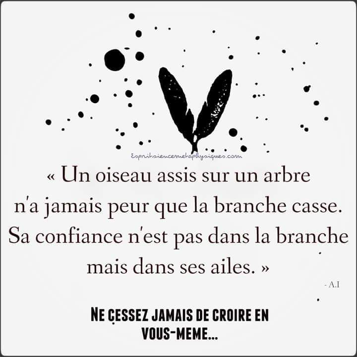 csibon27's tweet image. 🥰😇