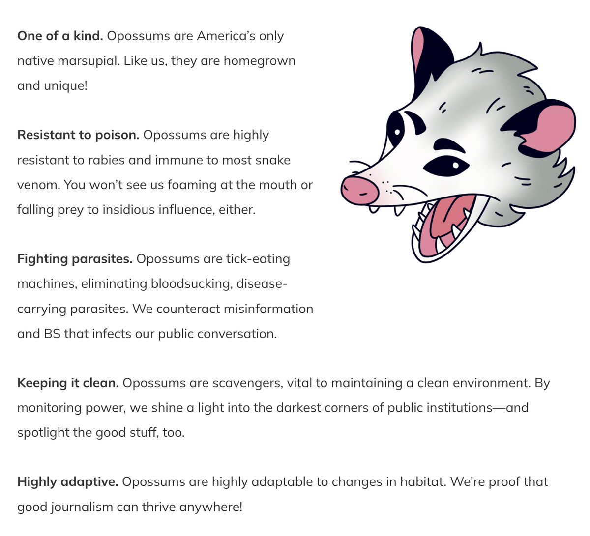 Sarah Scott Scire tweet media