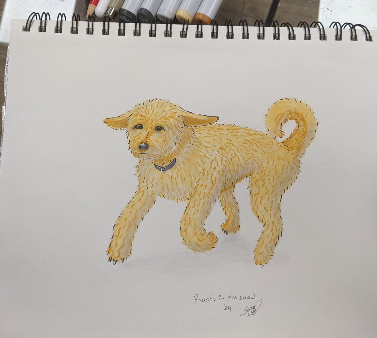 'Rusty in the snow'
My #goldendoodle loves the #snow. Copic on medium tooth sketch.
 #goldenfur #poodle #labradoodle